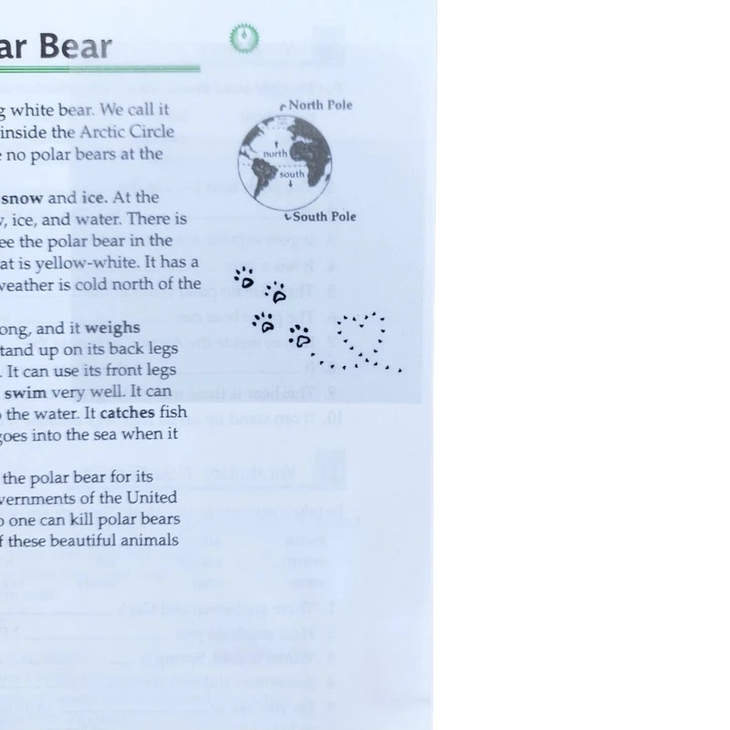 استیک نوت شفاف 